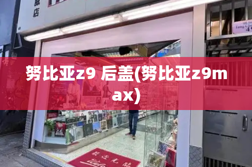 努比亚z9 后盖(努比亚z9max)