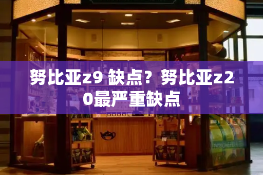 努比亚z9 缺点？努比亚z20最严重缺点