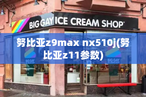 努比亚z9max nx510j(努比亚z11参数)-第1张图片-星选测评