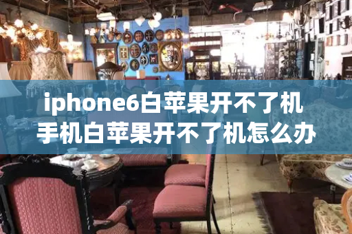 iphone6白苹果开不了机 手机白苹果开不了机怎么办-第1张图片-星选测评