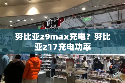 努比亚z9max充电？努比亚z17充电功率-第1张图片-星选测评