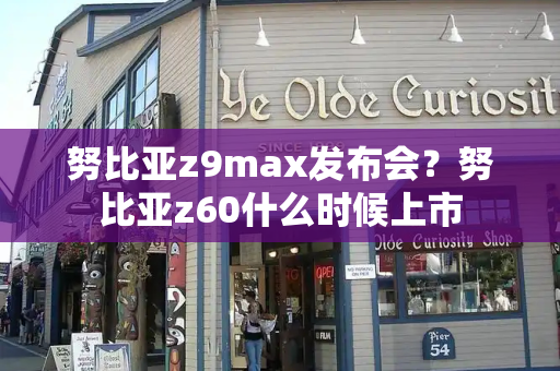 努比亚z9max发布会？努比亚z60什么时候上市-第1张图片-星选测评