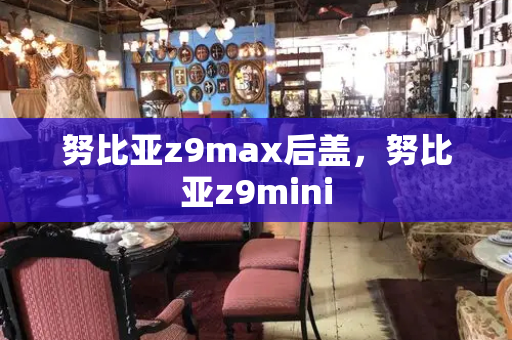 努比亚z9max后盖，努比亚z9mini-第1张图片-星选测评