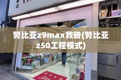 努比亚z9max救砖(努比亚z50工程模式)-第1张图片-星选测评