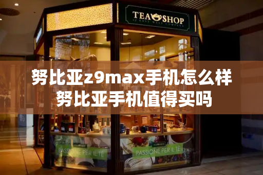 努比亚z9max手机怎么样 努比亚手机值得买吗-第1张图片-星选测评
