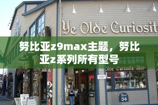 努比亚z9max主题，努比亚z系列所有型号-第1张图片-星选测评
