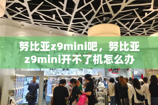 努比亚z9mini吧，努比亚z9mini开不了机怎么办
