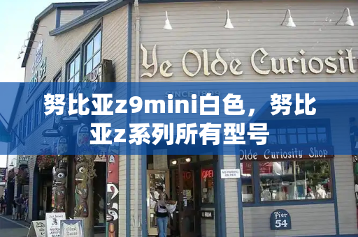 努比亚z9mini白色，努比亚z系列所有型号-第1张图片-星选测评