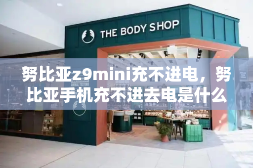 努比亚z9mini充不进电，努比亚手机充不进去电是什么原因
