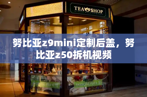 努比亚z9mini定制后盖，努比亚z50拆机视频