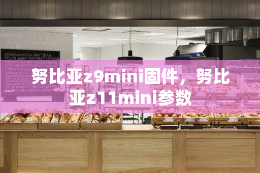 努比亚z9mini固件，努比亚z11mini参数-第1张图片-星选测评