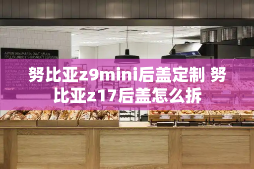 努比亚z9mini后盖定制 努比亚z17后盖怎么拆-第1张图片-星选测评