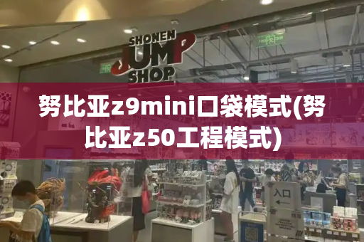 努比亚z9mini口袋模式(努比亚z50工程模式)-第1张图片-星选测评