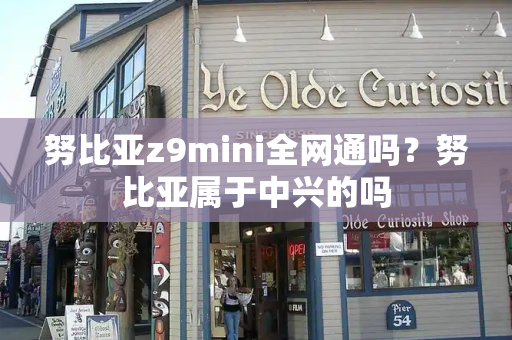 努比亚z9mini全网通吗？努比亚属于中兴的吗