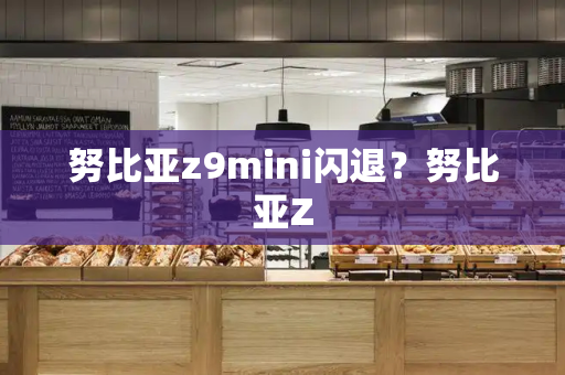 努比亚z9mini闪退？努比亚Z