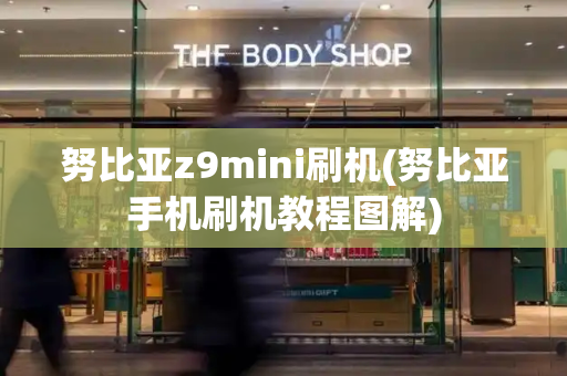努比亚z9mini刷机(努比亚手机刷机教程图解)-第1张图片-星选测评
