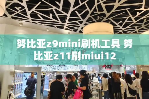 努比亚z9mini刷机工具 努比亚z11刷miui12-第1张图片-星选测评