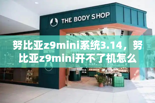 努比亚z9mini系统3.14，努比亚z9mini开不了机怎么办