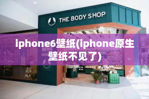 iphone6壁纸(iphone原生壁纸不见了)