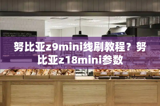 努比亚z9mini线刷教程？努比亚z18mini参数