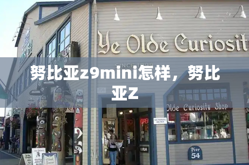 努比亚z9mini怎样，努比亚Z-第1张图片-星选测评