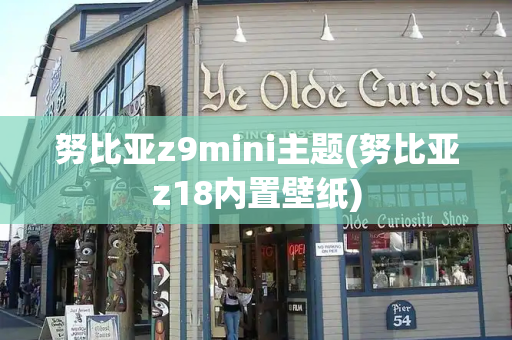 努比亚z9mini主题(努比亚z18内置壁纸)