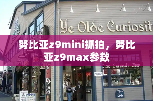 努比亚z9mini抓拍，努比亚z9max参数-第1张图片-星选测评