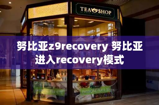 努比亚z9recovery 努比亚进入recovery模式-第1张图片-星选测评