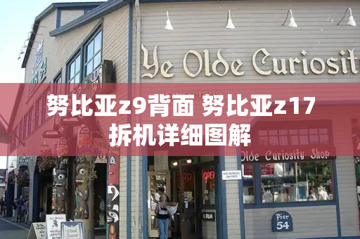 努比亚z9背面 努比亚z17拆机详细图解