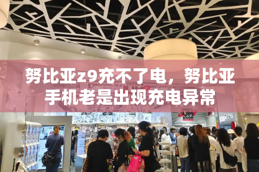 努比亚z9充不了电，努比亚手机老是出现充电异常-第1张图片-星选测评