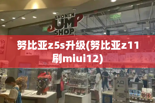 努比亚z5s升级(努比亚z11刷miui12)