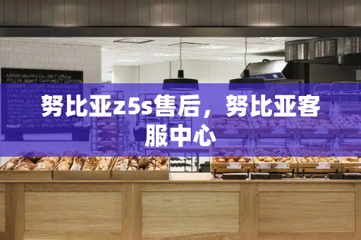 努比亚z5s售后，努比亚客服中心-第1张图片-星选测评