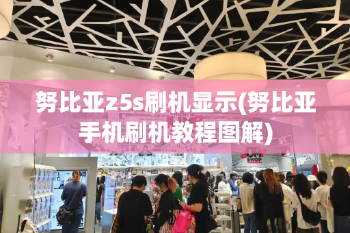 努比亚z5s刷机显示(努比亚手机刷机教程图解)-第1张图片-星选测评