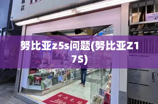 努比亚z5s问题(努比亚Z17S)-第1张图片-星选测评
