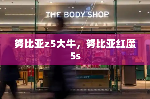努比亚z5大牛，努比亚红魔5s
