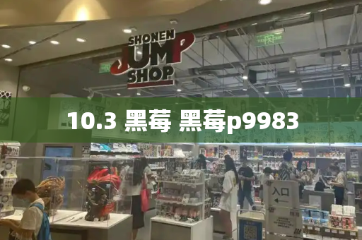 10.3 黑莓 黑莓p9983