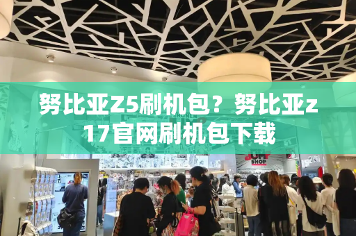 努比亚Z5刷机包？努比亚z17官网刷机包下载-第1张图片-星选测评