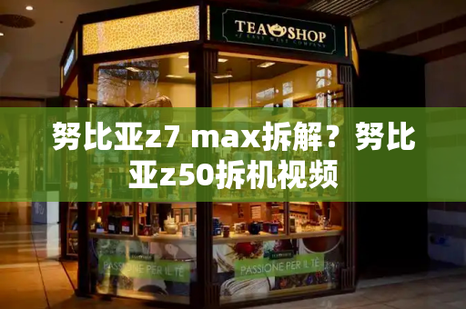 努比亚z7 max拆解？努比亚z50拆机视频