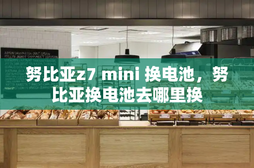 努比亚z7 mini 换电池，努比亚换电池去哪里换