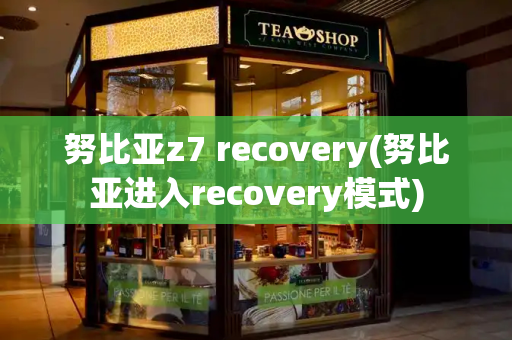 努比亚z7 recovery(努比亚进入recovery模式)