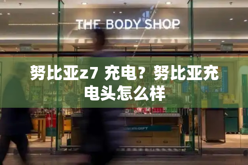 努比亚z7 充电？努比亚充电头怎么样-第1张图片-星选测评