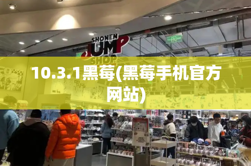 10.3.1黑莓(黑莓手机官方网站)