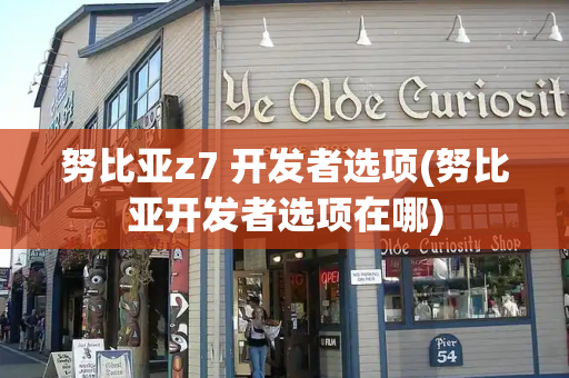 努比亚z7 开发者选项(努比亚开发者选项在哪)