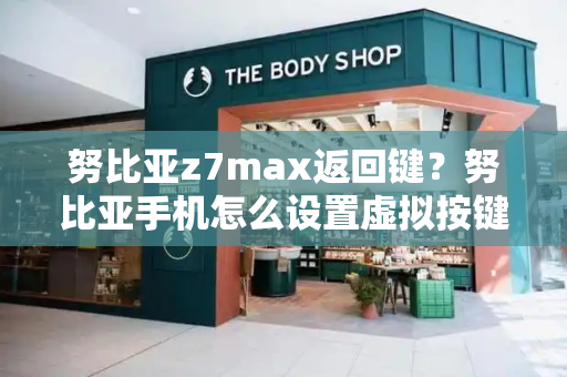 努比亚z7max返回键？努比亚手机怎么设置虚拟按键-第1张图片-星选测评