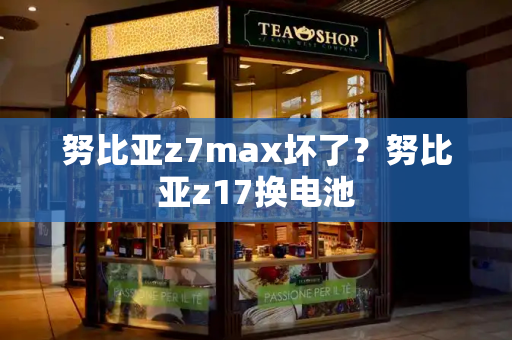 努比亚z7max坏了？努比亚z17换电池