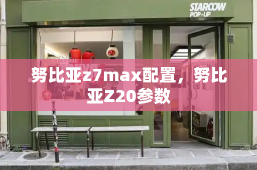 努比亚z7max配置，努比亚Z20参数