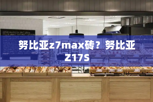 努比亚z7max砖？努比亚Z17S-第1张图片-星选测评