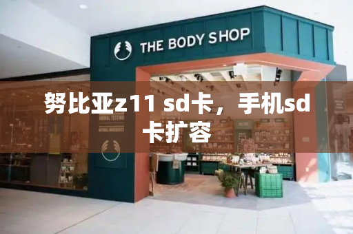 努比亚z11 sd卡，手机sd卡扩容-第1张图片-星选测评