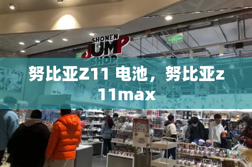 努比亚Z11 电池，努比亚z11max