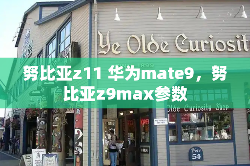 努比亚z11 华为mate9，努比亚z9max参数-第1张图片-星选测评